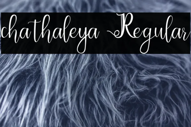 chathaleya Regular Example 3