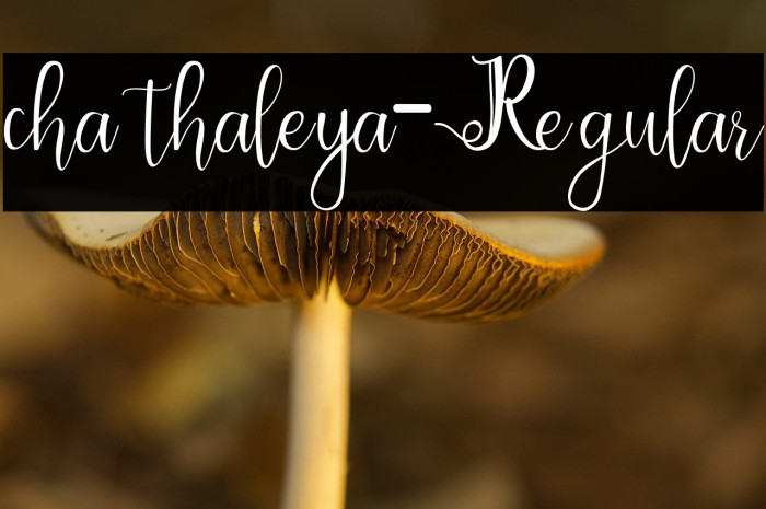chathaleya-Regular Example 2