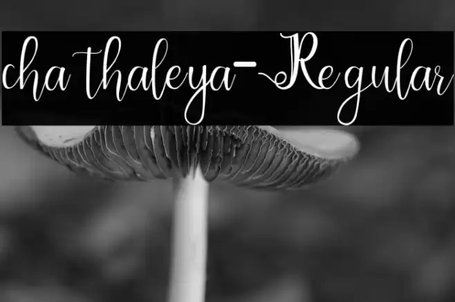 chathaleya-Regular Шрифта examples