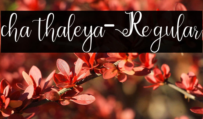 chathaleya-Regular Example 3