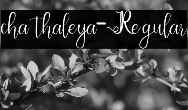 chathaleya-Regular Шрифта examples