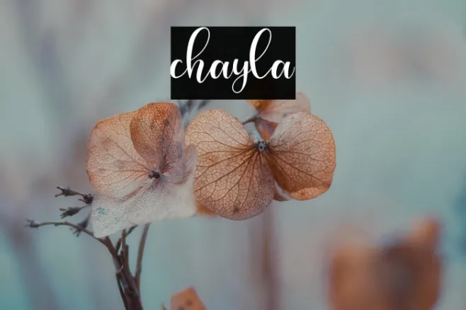 chayla Example 2