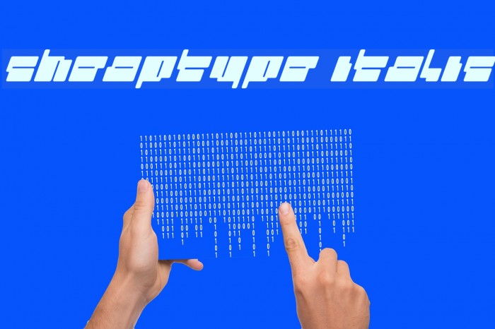 cheaptype [italic] Example 1