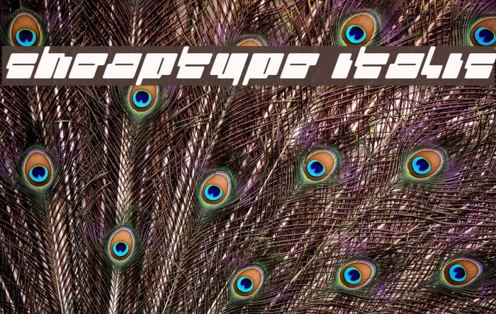 cheaptype [italic] Example 2