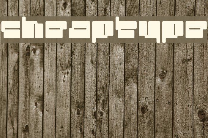 cheaptype Font examples