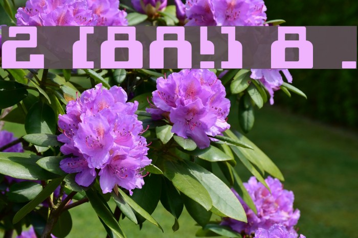 cheek2cheek [black!] by shk.dezign Example 2