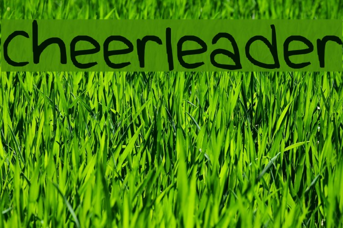 cheerleader Font examples