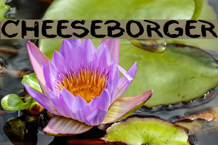 cheeseborger Шрифта examples