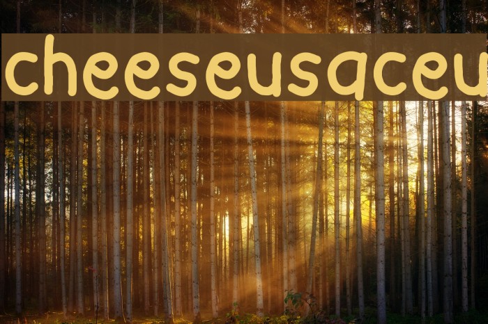 cheeseusaceu Font examples