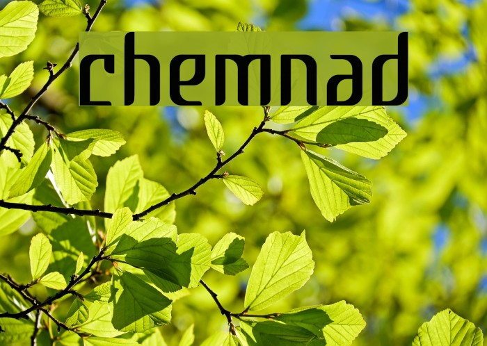 chemnad Font examples