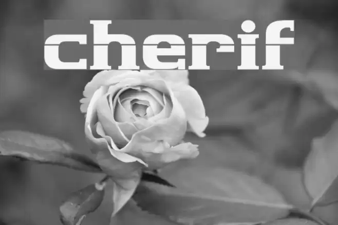 cherif Font examples