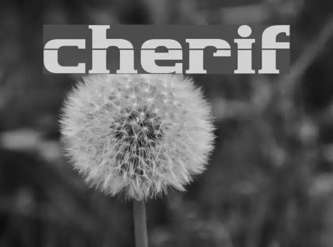 cherif Font examples