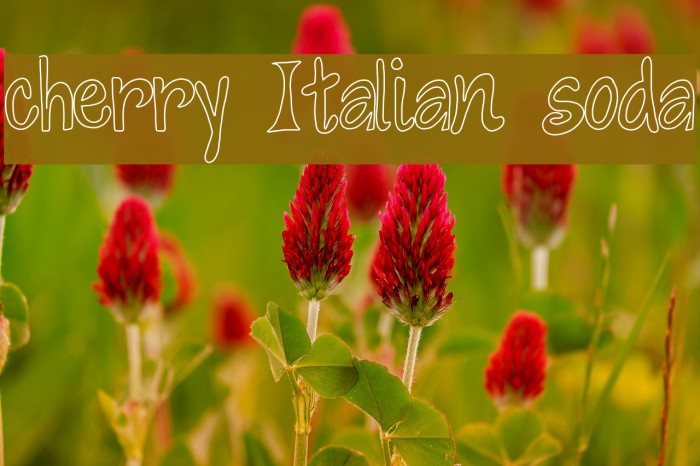 cherry Italian soda Example 2
