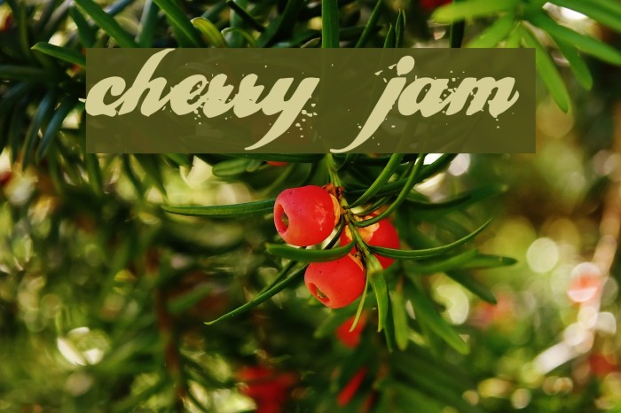 cherry jam Font examples