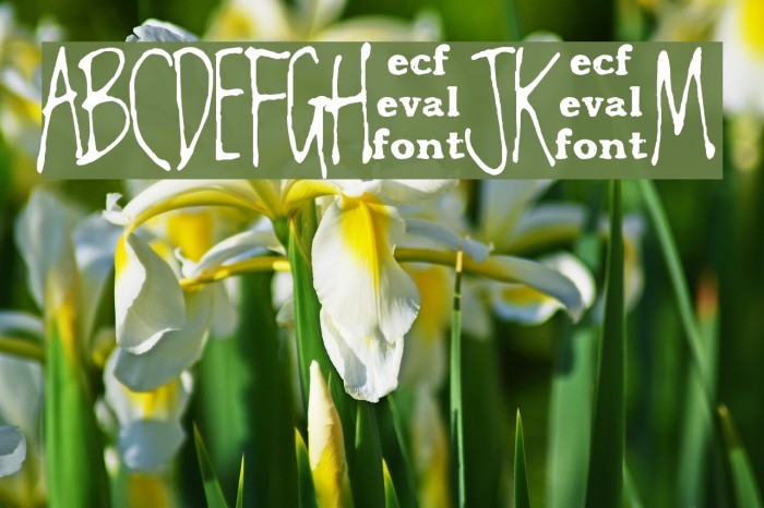 chester eval Font examples