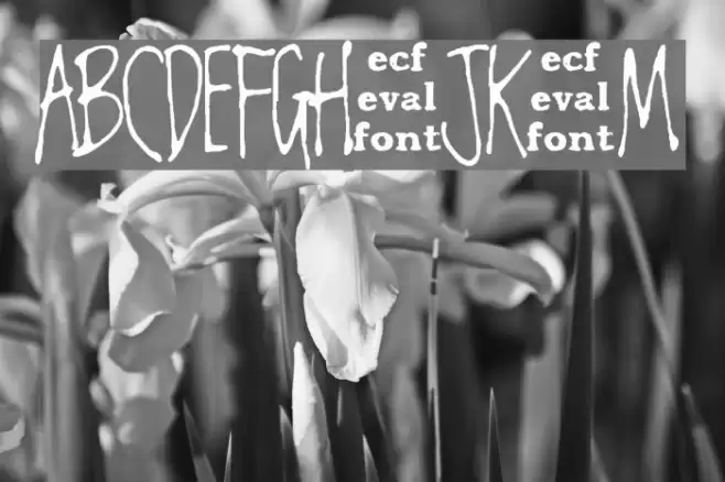 chester eval Fonte examples