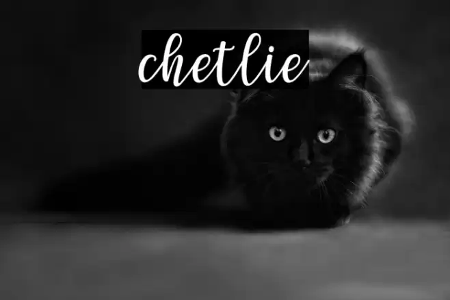 chetlie Font examples