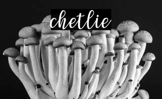 chetlie Font examples