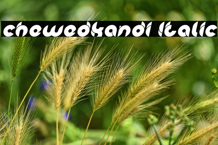 chewedkandi Italic Example 2