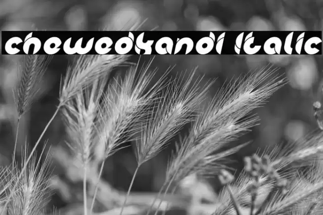 chewedkandi Italic Font examples