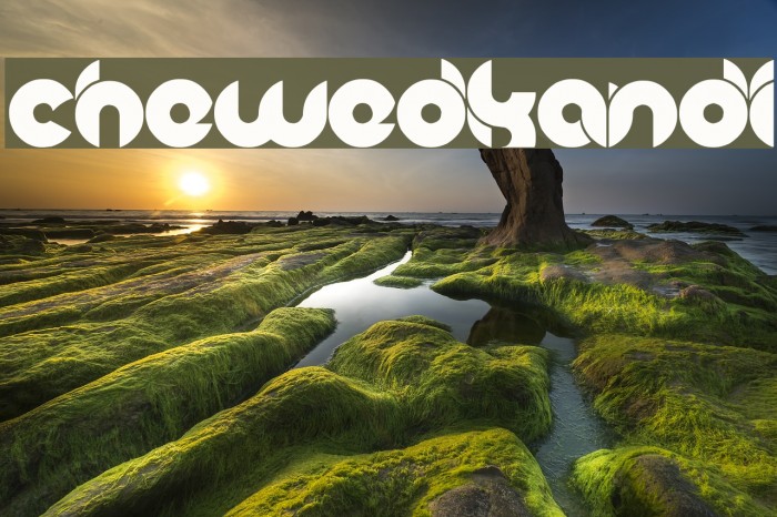 chewedkandi Example 2