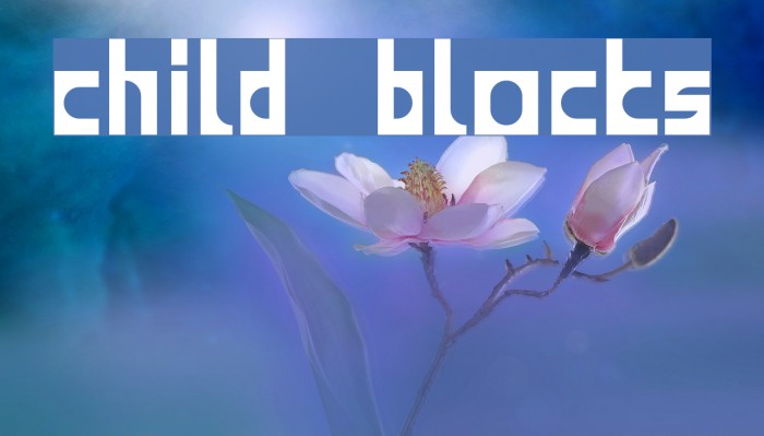 child blocks フォント examples