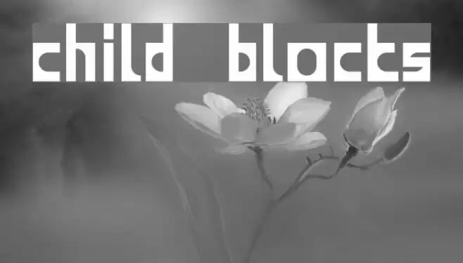 child blocks Font examples