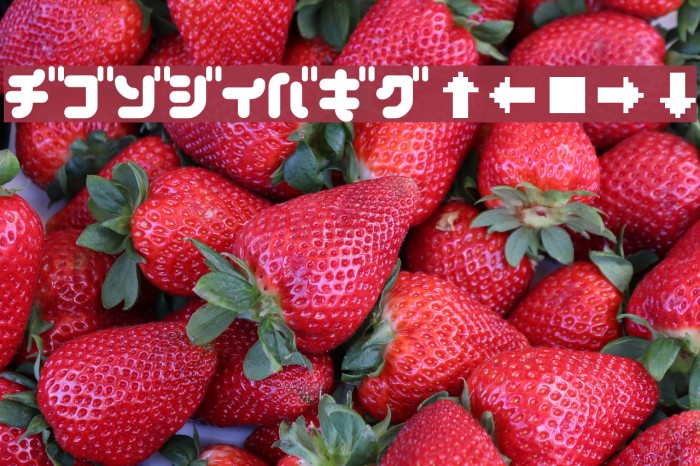 chilli Bold Font examples