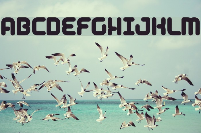 chilli Font examples