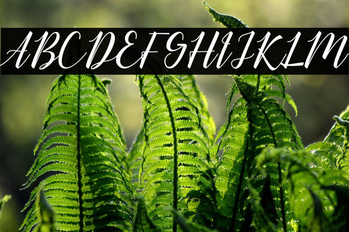 chillout-script Example 2