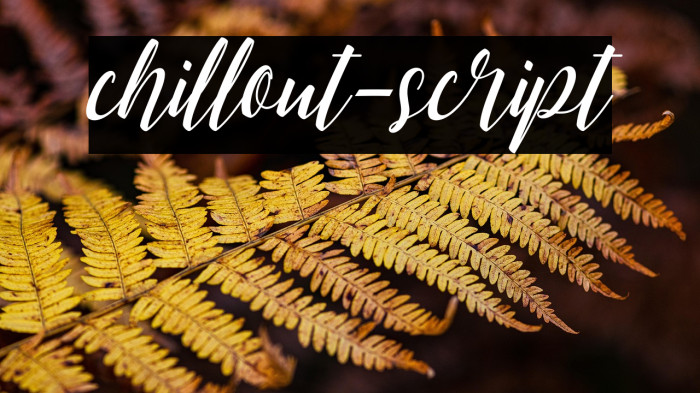 chillout-script Example 1