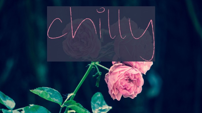 chilly Font examples