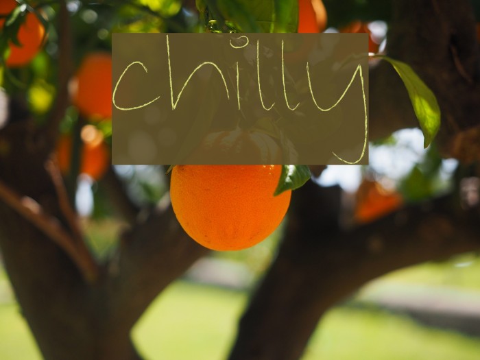 chilly Font examples