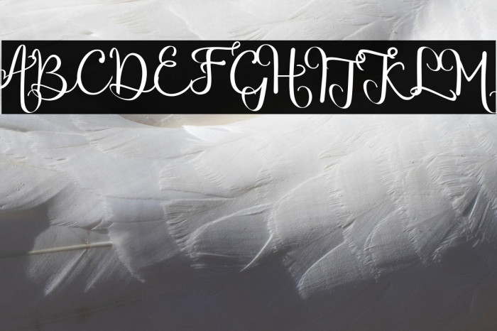 chinthiawhite-Regular Example 1