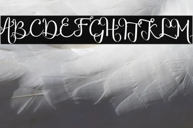 chinthiawhite-Regular Example 1
