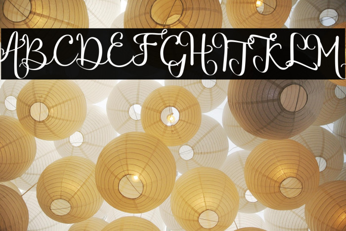 chinthiawhite-Regular Example 3