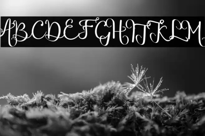 chinthiawhite-Regular Font examples