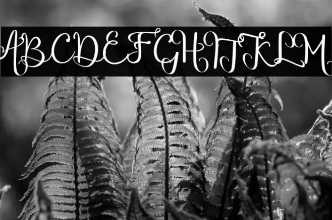 chinthiawhite-Regular Font examples