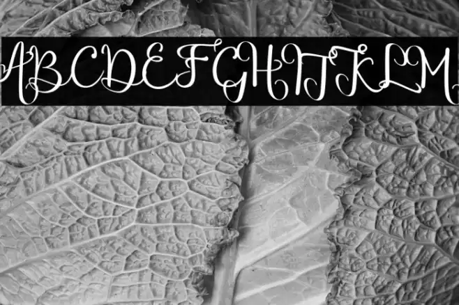 chinthiawhite-Regular Font examples