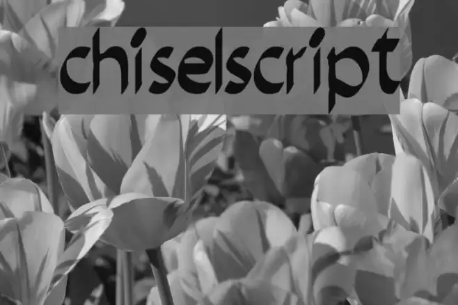 chiselscript Font examples