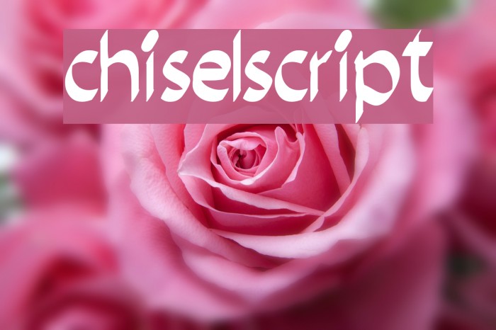 chiselscript Example 2