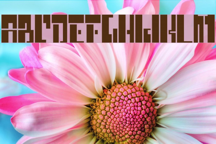 chiwawa Hard Font examples