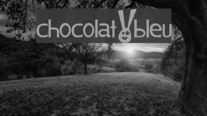 chocolat_bleu Font examples