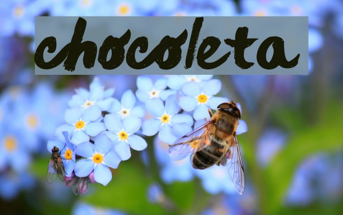 chocoleta Font examples