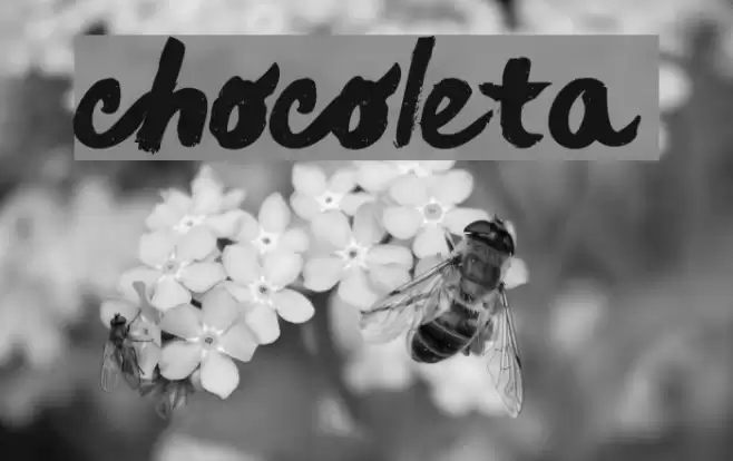 chocoleta Font examples