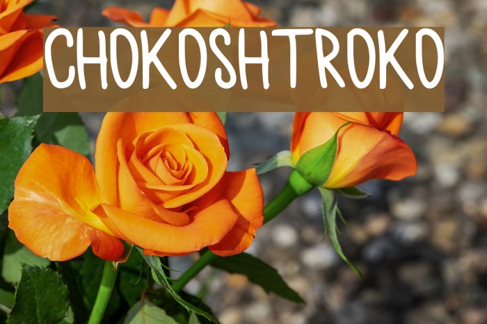 chokoshtroko Font examples