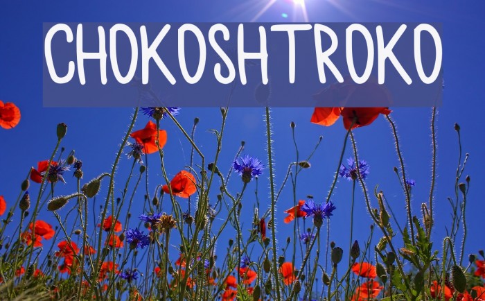 chokoshtroko Font examples