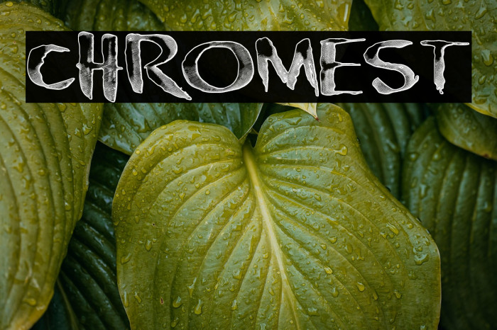 chromest Example 2