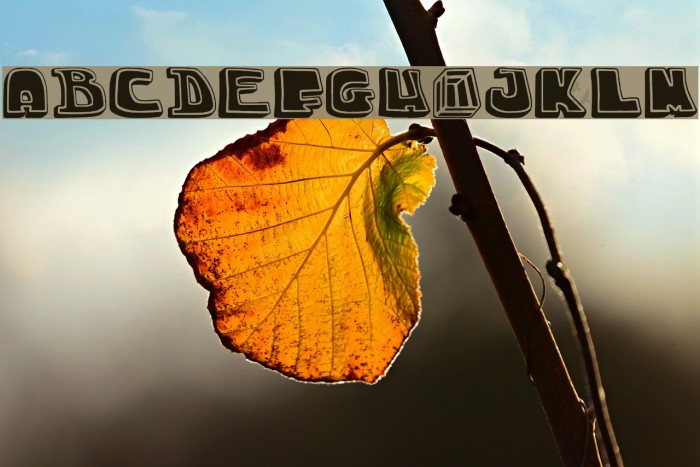 chuck-title-font Example 2