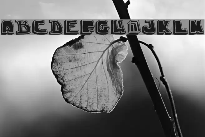 chuck-title-font Font examples